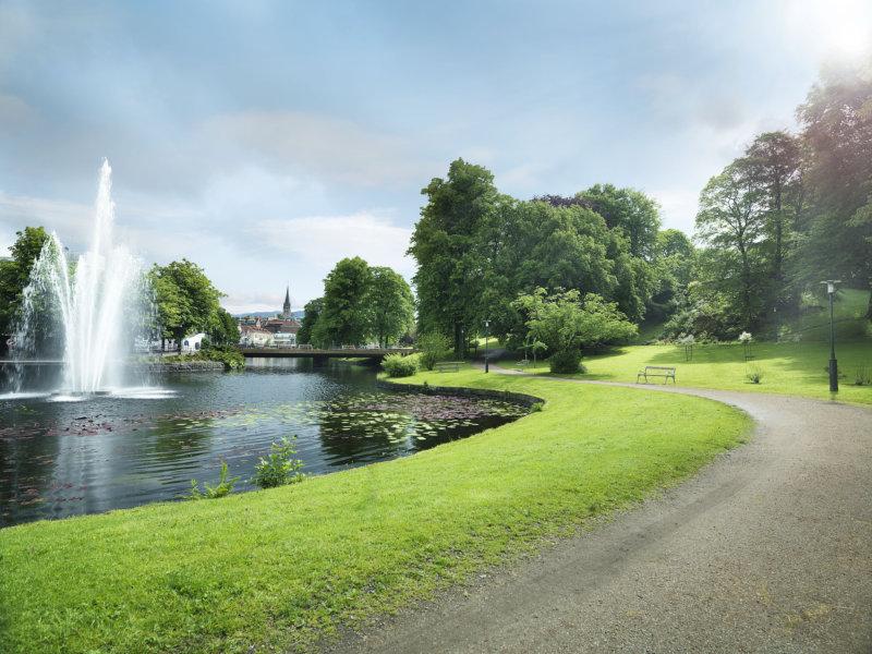 Cinco dicas para um gramado impecável